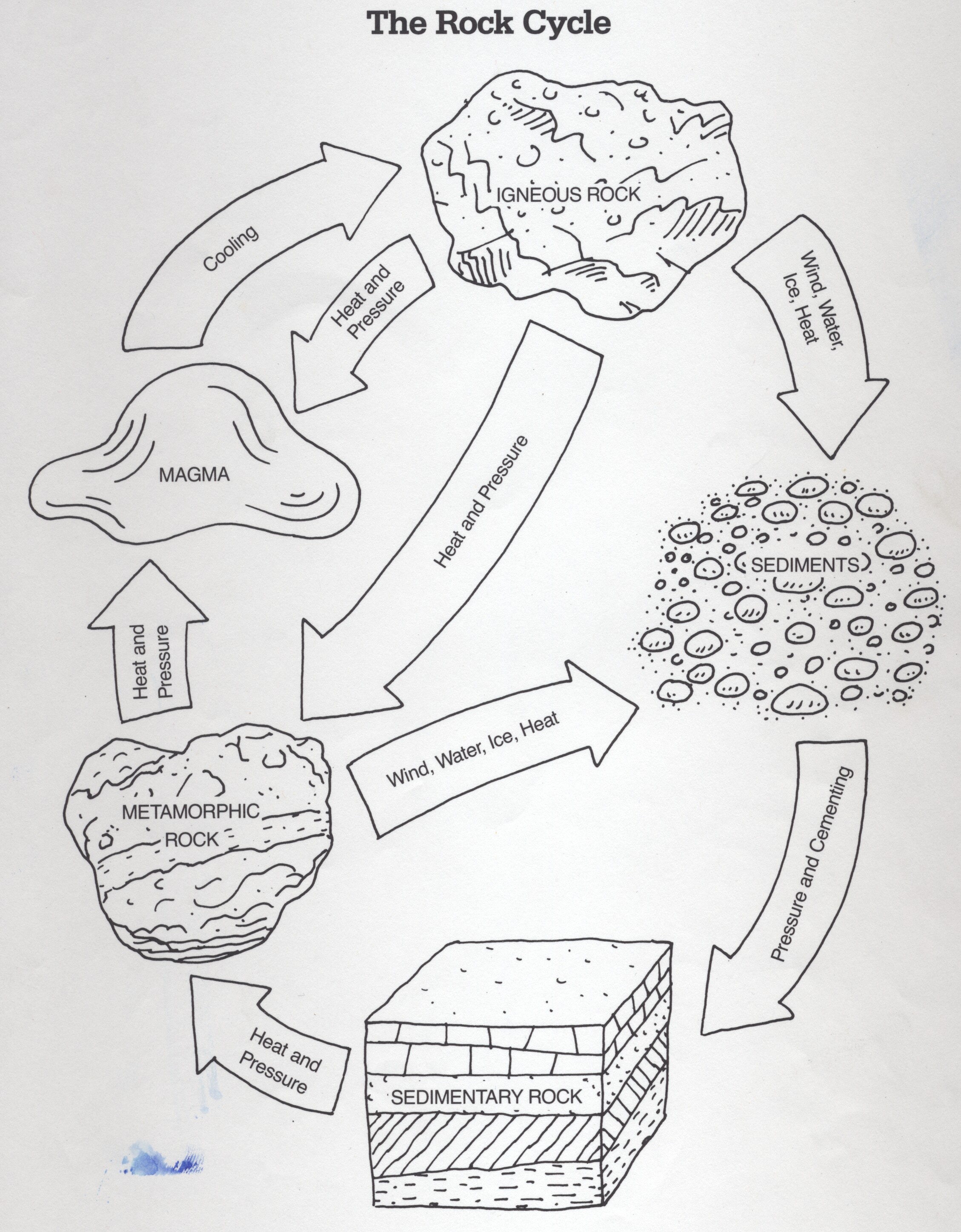 worksheet. The Rock Cycle Worksheet. Grass Fedjp Worksheet Study Site