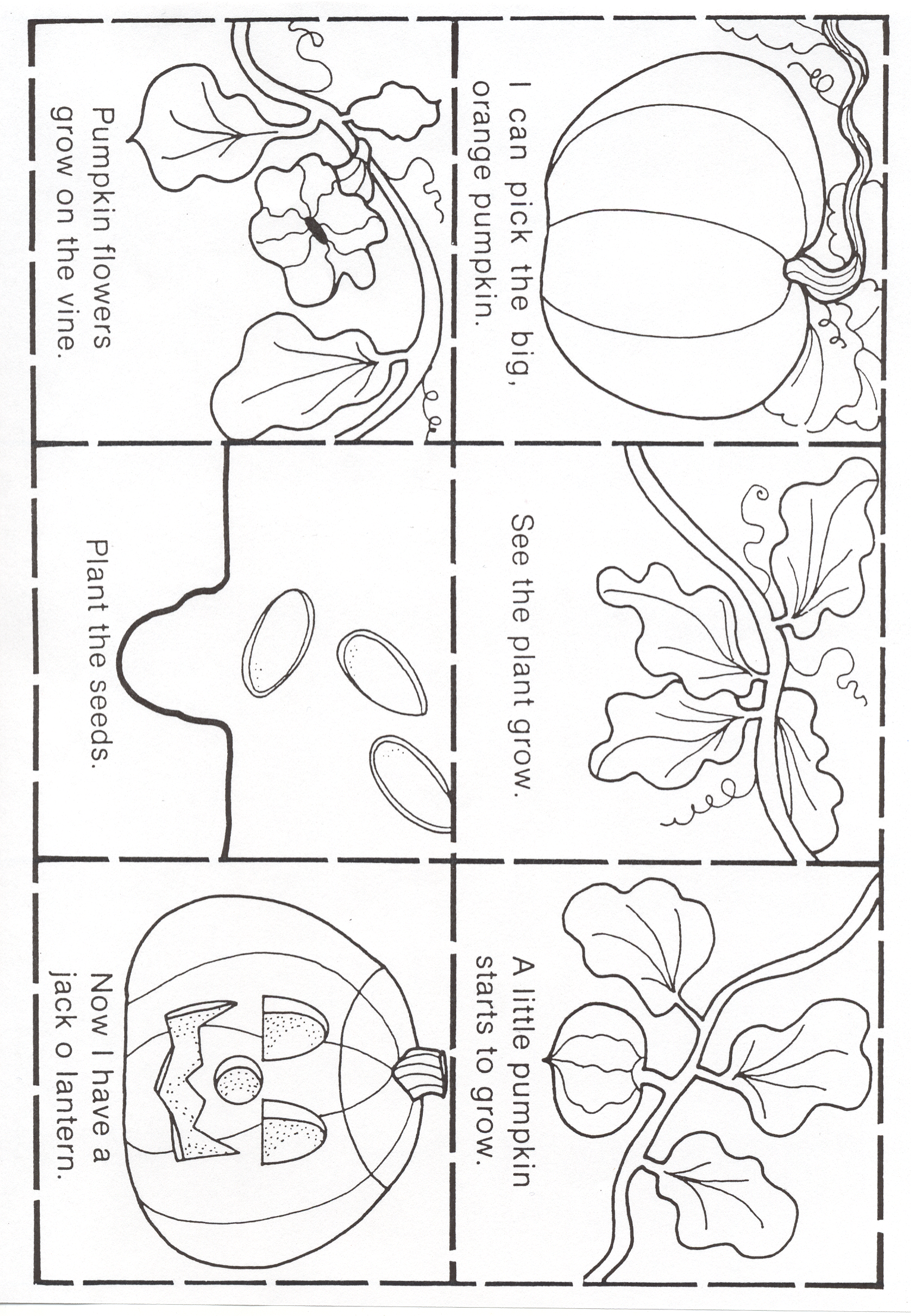 Pumpkin Life Cycle Coloring Sequence Coloring Pages