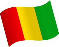 Guinea Flag