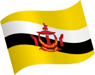 Brunei Flag