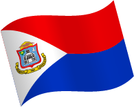 Saint Vincent and the Grenadines Flag