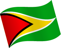 Guyana Flag