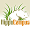 HippoCampus