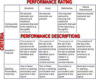 Rubric Example