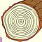 Dendrochronology